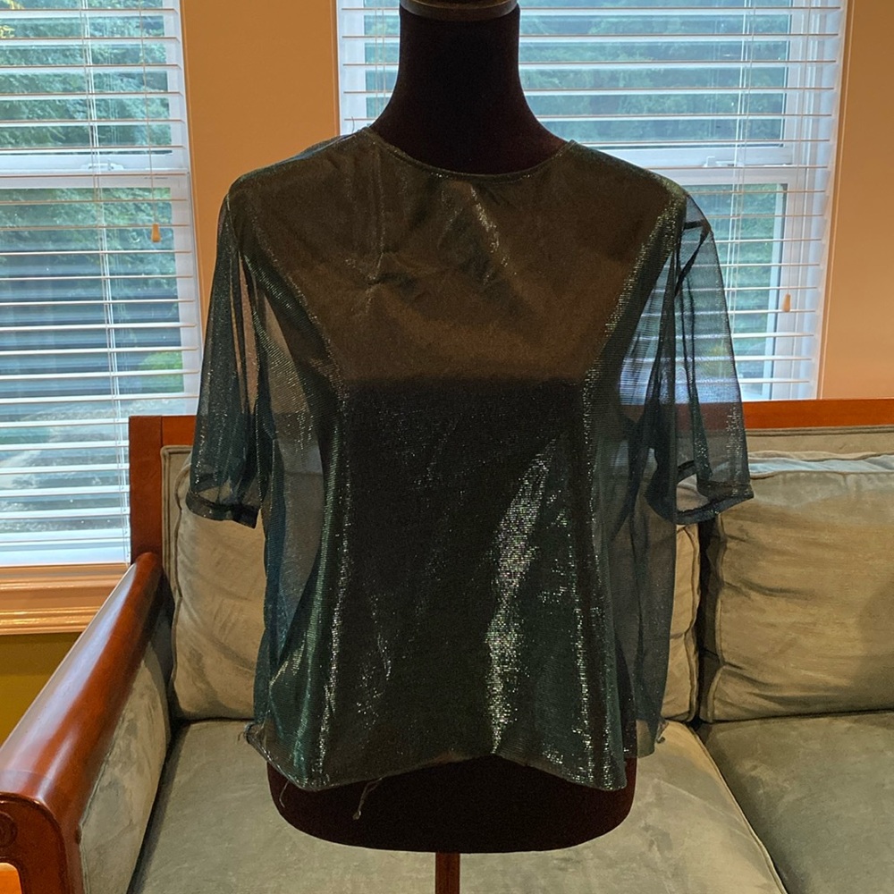 Blue sheer top